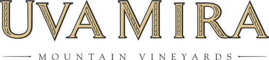 UVA M
